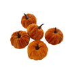 Set zucche decorative in velluto