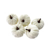 Set zucche decorative in velluto
